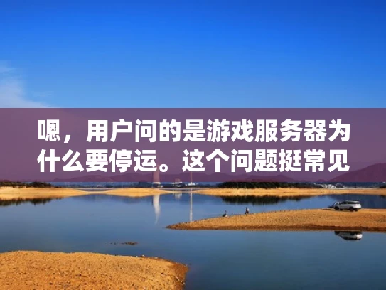 嗯，用户问的是游戏服务器为什么要停运。这个问题挺常见的，我得好好分析一下。首先，我得考虑用户可能是一个游戏开发人员或者运营人员，他们可能在日常工作中遇到了服务器停运的问题，想要了解原因和应对措施