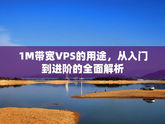 1M带宽VPS的用途，从入门到进阶的全面解析