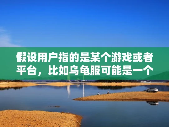 假设用户指的是某个游戏或者平台，比如乌龟服可能是一个游戏内的服务或者平台，新开服务器的话，通常会有特定的名称来区分。通常，服务器名称可能会包含日期、时间、地区或者其他标识符，以方便玩家查找和记住