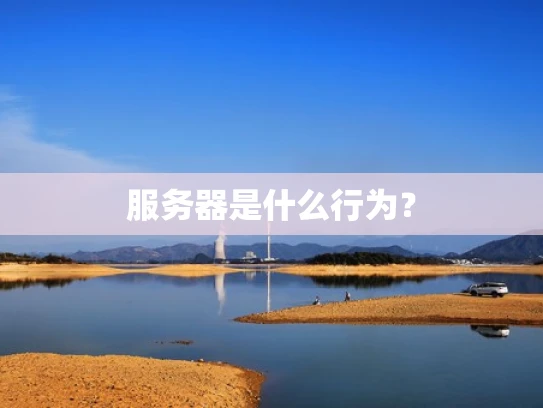 服务器是什么行为？