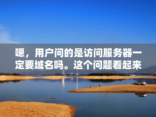 嗯，用户问的是访问服务器一定要域名吗。这个问题看起来挺基础的，但作为网络安全人员，我得仔细分析一下，确保给出的答案全面且有深度