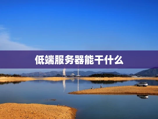 低端服务器能干什么
