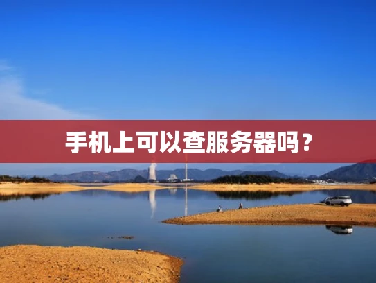 手机上可以查服务器吗？