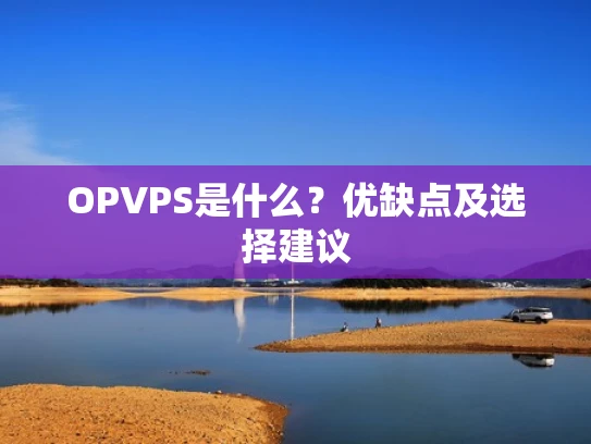 OPVPS是什么？优缺点及选择建议