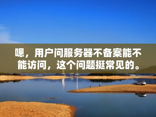嗯，用户问服务器不备案能不能访问，这个问题挺常见的。首先，我得考虑用户可能是什么情况。他们可能有自己的服务器，但没有备案，可能担心访问问题。也有可能他们对备案的概念不太清楚，所以需要解释清楚