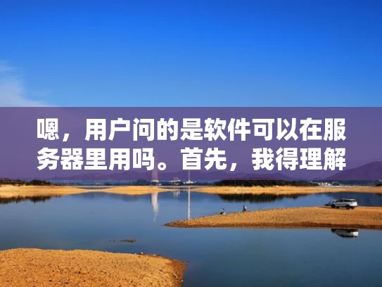 嗯，用户问的是软件可以在服务器里用吗。首先，我得理解用户的问题。看起来用户可能在问是否可以将软件部署到服务器上运行，或者是否需要特定的配置才能在服务器上运行软件