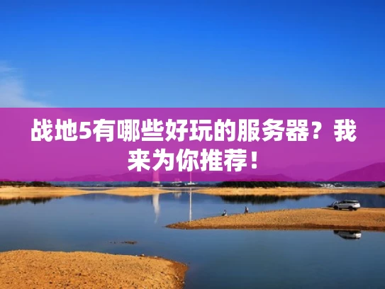战地5有哪些好玩的服务器？我来为你推荐！