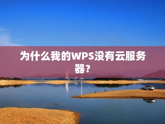 为什么我的WPS没有云服务器？