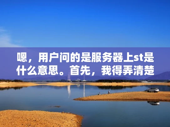 嗯，用户问的是服务器上st是什么意思。首先，我得弄清楚st在这里具体指的是什么。可能是指start或者status，或者是某种缩写。考虑到服务器上的常见术语，可能是指启动状态或者启动相关的操作