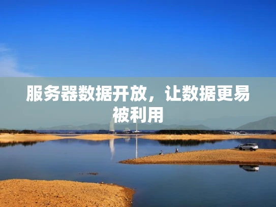 服务器数据开放，让数据更易被利用