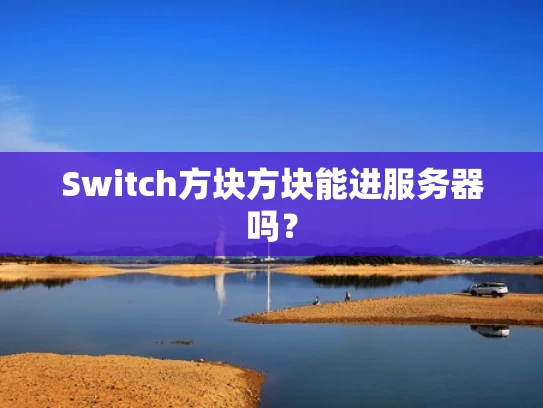 Switch方块方块能进服务器吗？