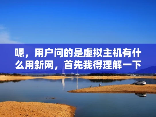 嗯，用户问的是虚拟主机有什么用新网，首先我得理解一下这个问题。看起来用户可能对虚拟主机的概念不太清楚，或者想了解在新网环境下使用虚拟主机的好处。可能用户是刚接触网络或网页开发，需要一些基础的解释
