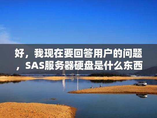 好，我现在要回答用户的问题，SAS服务器硬盘是什么东西。首先，我需要理解用户的问题。他们可能对服务器存储设备不太熟悉，或者想了解SAS硬盘的用途和优势
