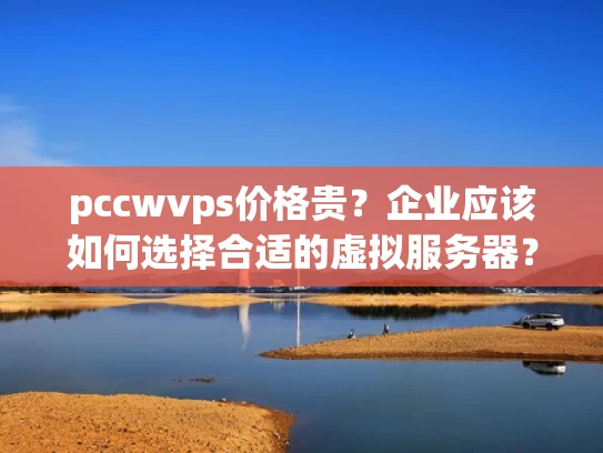 pccwvps价格贵？企业应该如何选择合适的虚拟服务器？