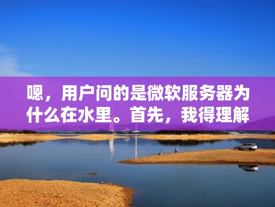 嗯，用户问的是微软服务器为什么在水里。首先，我得理解这个问题。微软服务器在水里，听起来像是服务器被水淹了或者放在水里。可能用户是想了解微软服务器的冷却系统，或者是某种特殊的存储技术