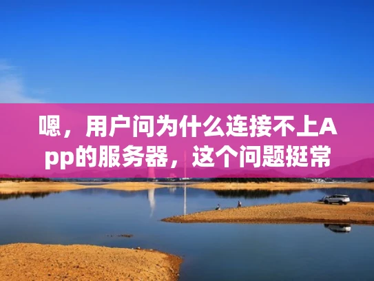 嗯，用户问为什么连接不上App的服务器，这个问题挺常见的。首先，我得考虑用户可能是什么身份，可能是开发者、运维，或者是普通用户遇到问题。他们可能不太熟悉技术细节，所以需要用通俗易懂的语言来解释