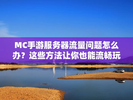 MC手游服务器流量问题怎么办？这些方法让你也能流畅玩