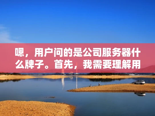 嗯，用户问的是公司服务器什么牌子。首先，我需要理解用户的需求。他们可能是一个小企业主或者IT管理员，想为公司选择一个可靠的服务器品牌。我应该提供一些专业且易于理解的建议