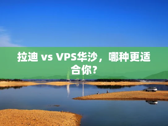 拉迪 vs VPS华沙，哪种更适合你？