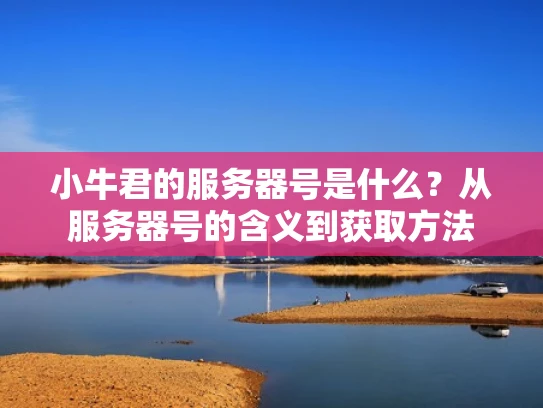 小牛君的服务器号是什么？从服务器号的含义到获取方法