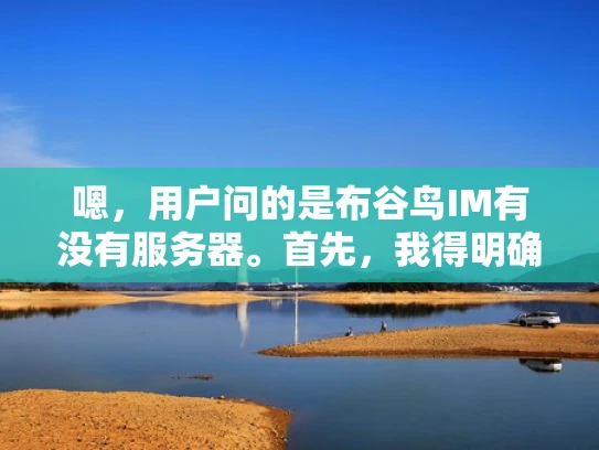 嗯，用户问的是布谷鸟IM有没有服务器。首先，我得明确布谷鸟IM是什么。布谷鸟IM是一个基于云计算的实时通讯工具，用户可以通过网页、手机等终端使用。那它有没有自己的服务器呢？