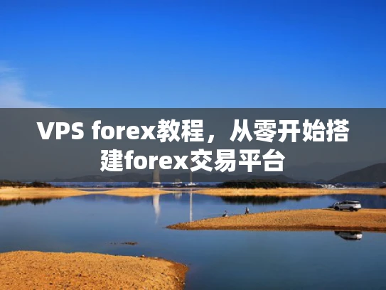 VPS forex教程，从零开始搭建forex交易平台