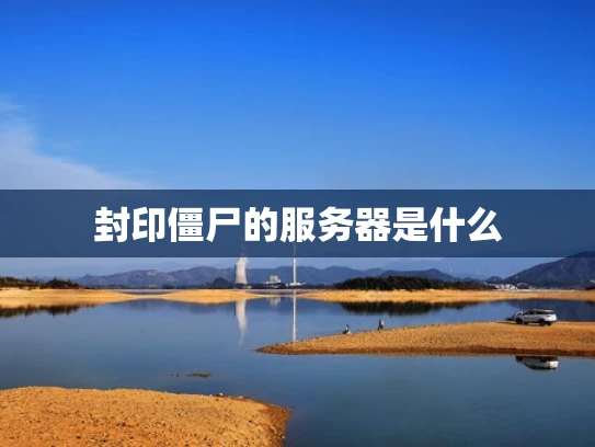 封印僵尸的服务器是什么