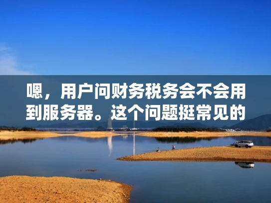 嗯，用户问财务税务会不会用到服务器。这个问题挺常见的，因为很多小企业主可能没意识到财务软件需要服务器支持。首先，我得解释一下服务器在财务税务中的作用，比如处理数据存储、支持ERP系统等等