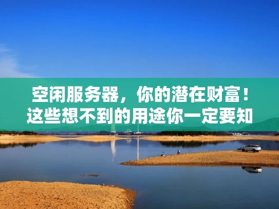 空闲服务器，你的潜在财富！这些想不到的用途你一定要知道！