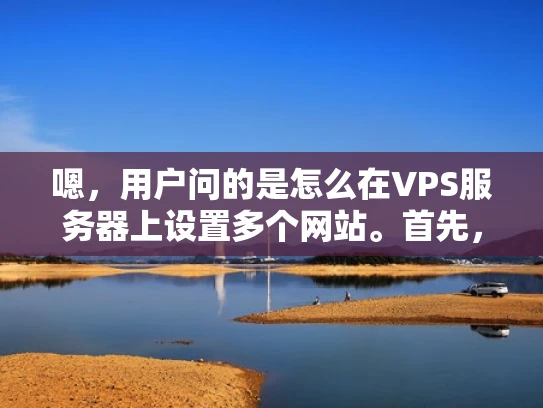 嗯，用户问的是怎么在VPS服务器上设置多个网站。首先，我得考虑用户可能是一个刚开始接触VPS的人，可能对服务器配置不太熟悉。所以，我需要用简单易懂的语言来解释