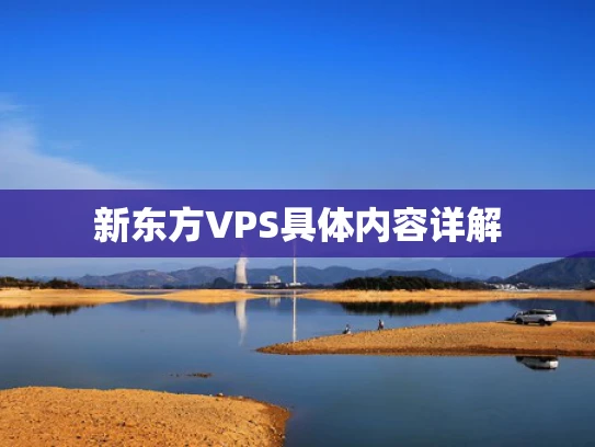 新东方VPS具体内容详解