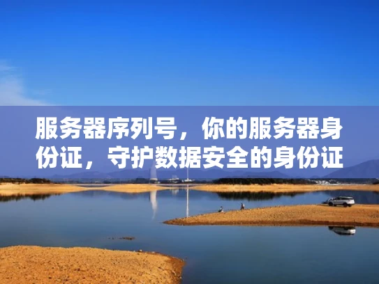 服务器序列号，你的服务器身份证，守护数据安全的身份证
