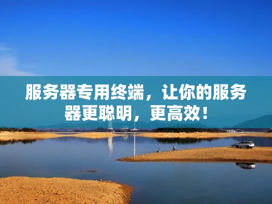服务器专用终端，让你的服务器更聪明，更高效！