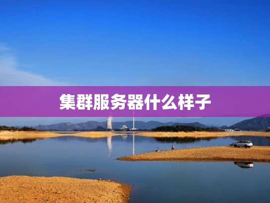 集群服务器什么样子