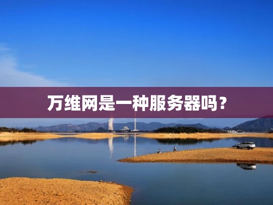 万维网是一种服务器吗？
