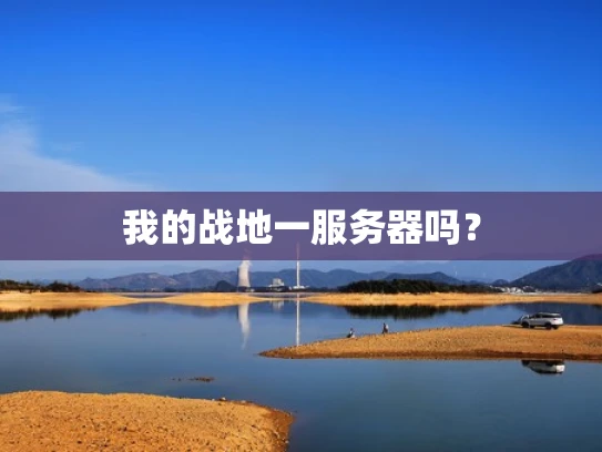 我的战地一服务器吗？