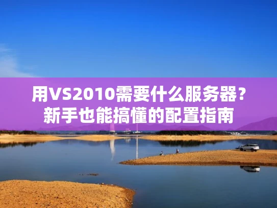 用VS2010需要什么服务器？新手也能搞懂的配置指南