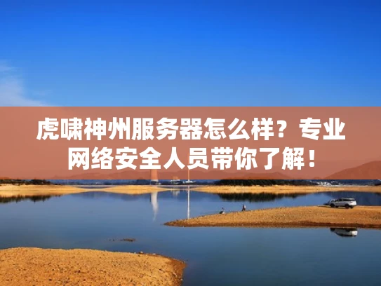 虎啸神州服务器怎么样？专业网络安全人员带你了解！