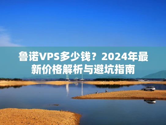 鲁诺VPS多少钱？2024年最新价格解析与避坑指南