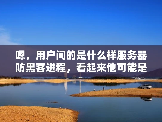 嗯，用户问的是什么样服务器防黑客进程，看起来他可能是个刚开始接触网络安全的人，或者是一个需要部署服务器的普通用户。他想了解如何保护服务器，防止黑客攻击，特别是那些专门针对服务器的攻击