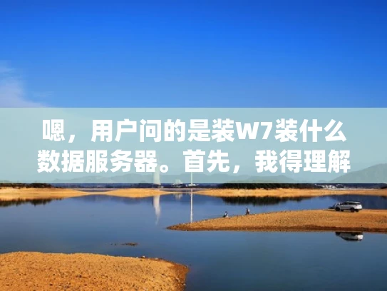 嗯，用户问的是装W7装什么数据服务器。首先，我得理解用户的问题。W7可能指的是Windows 7系统，或者可能是W7存储，比如W7是某种数据存储系统，但不太确定。所以，我需要先确认一下