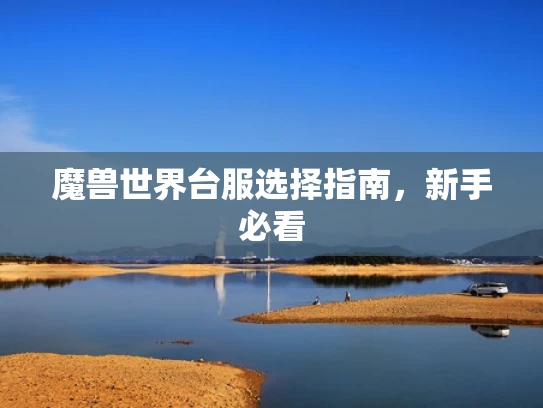 魔兽世界台服选择指南，新手必看