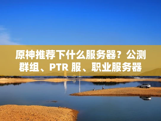 原神推荐下什么服务器？公测群组、PTR 服、职业服务器全解析！