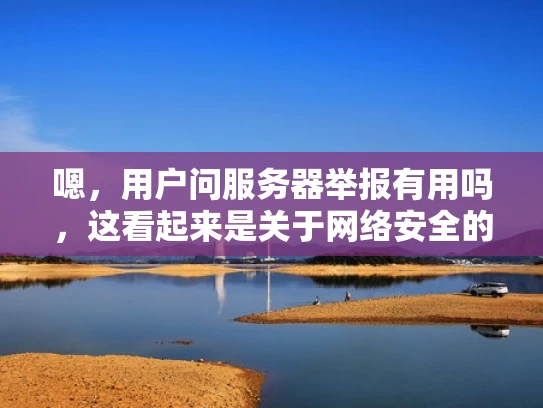 嗯，用户问服务器举报有用吗，这看起来是关于网络安全的内容。我需要先理解用户的具体需求是什么。可能用户是一个刚开始接触服务器管理的人，或者他们遇到了服务器被举报的情况，不确定这是否对他们有帮助
