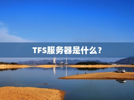 TFS服务器是什么？