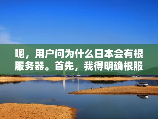 嗯，用户问为什么日本会有根服务器。首先，我得明确根服务器是什么，它在网络安全中的作用。根服务器提供一个安全的网络环境，防止被攻击