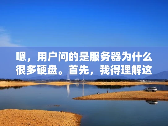 嗯，用户问的是服务器为什么很多硬盘。首先，我得理解这个问题背后的原因。服务器通常处理大量的数据和任务，所以需要足够的存储能力。硬盘是服务器的核心组件之一，负责存储操作系统、应用程序、数据文件等