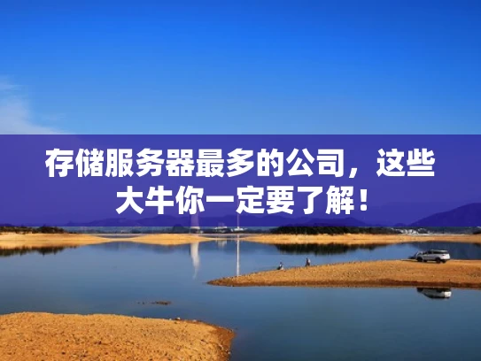 存储服务器最多的公司，这些大牛你一定要了解！