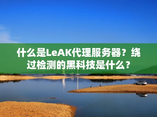 什么是LeAK代理服务器？绕过检测的黑科技是什么？