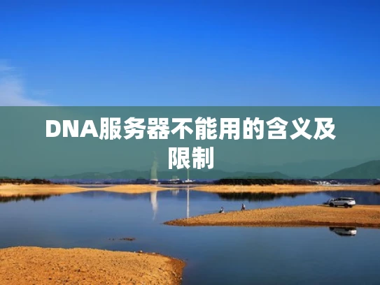 DNA服务器不能用的含义及限制
